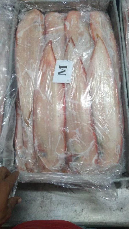 Seafood processing