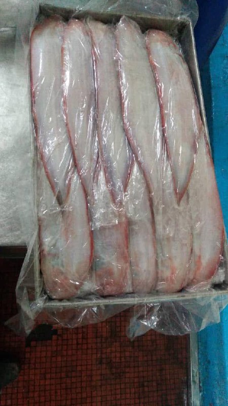 Seafood processing