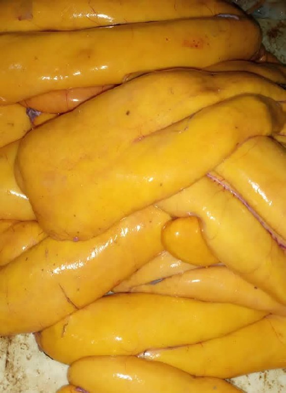 Fish Roe